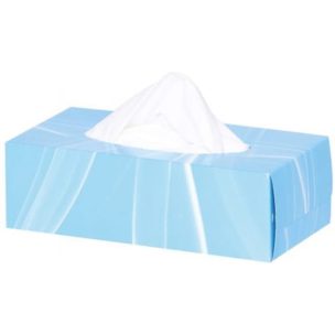INACTIVECloudsoft Facial Tissues 2 Ply WHITE 150 X 24 (T1115)