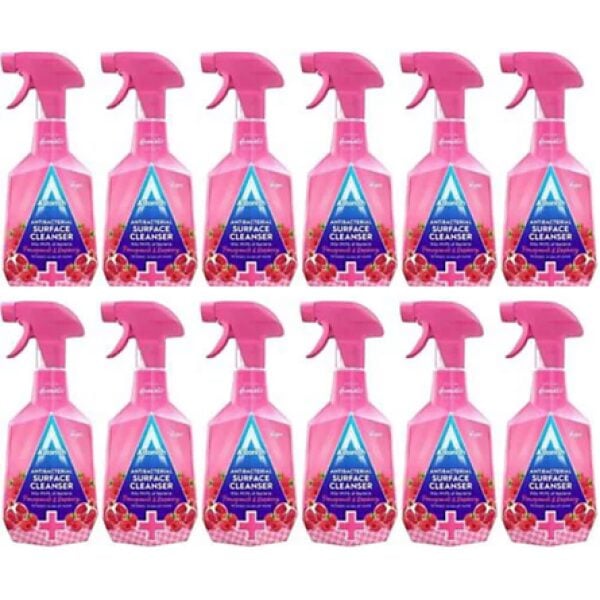 Astonish Antibacterial Surface Cleanser Pom & Rasp 750ML X 12